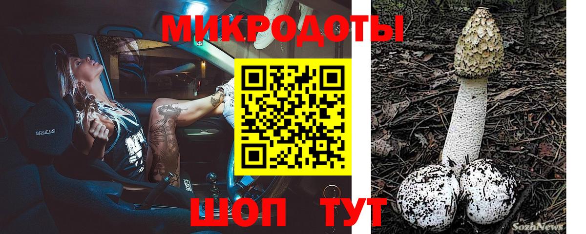 Псилоцибиновые грибы MAGIC MUSHROOMS  Вход с VPN  Кулебаки 